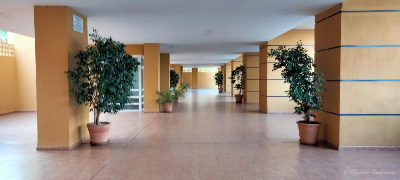 Cozy Apartment Overlooking Estepona'S Marina! Esterno foto